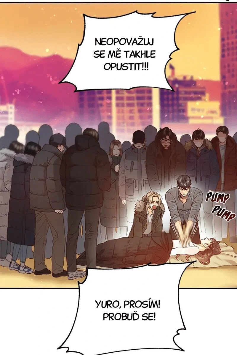 71199261 800 1195 169008